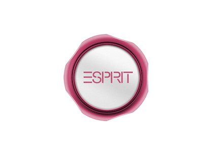 Example of custom housing for ESPRIT