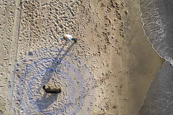 Walking on the beach with tracker on collar