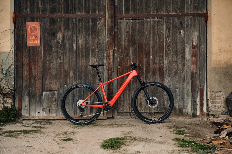 Rose Bike