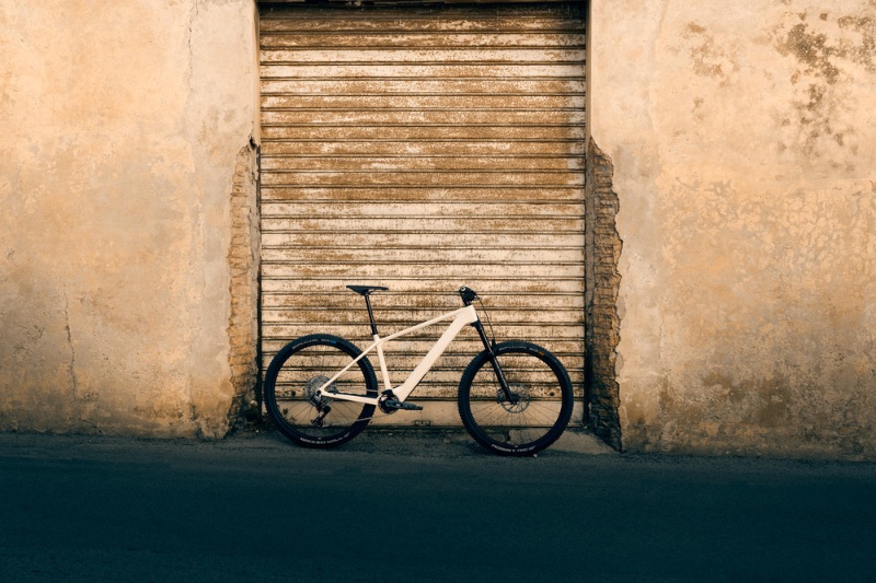 Rose Bike