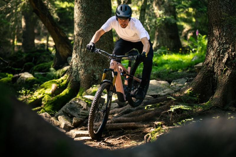 Man riding Moustache Mountainbike