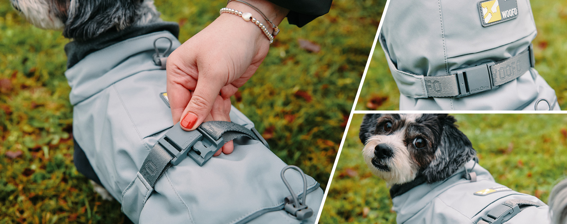 headerimage WOOFO Pullover for dogs