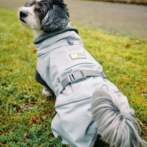 Little dog wearning a grey WOOFO pullover with FIDLOCK SNAP buckle
