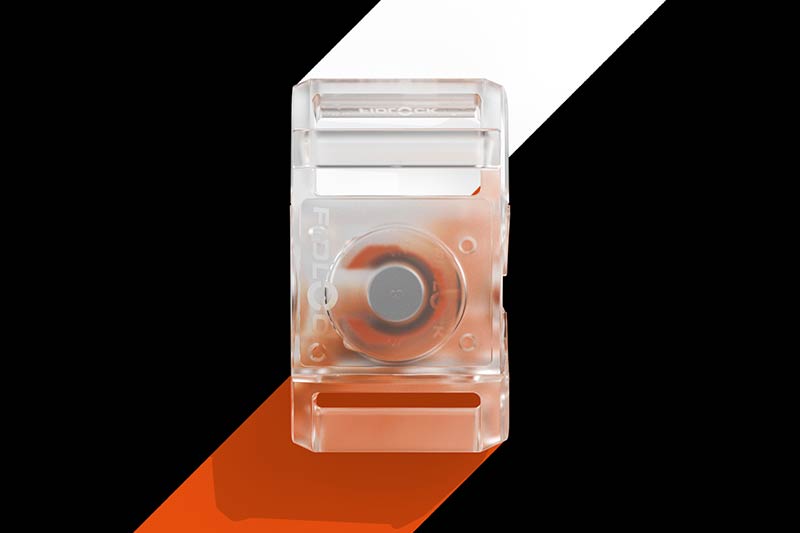 transparent buckle beauty rendering